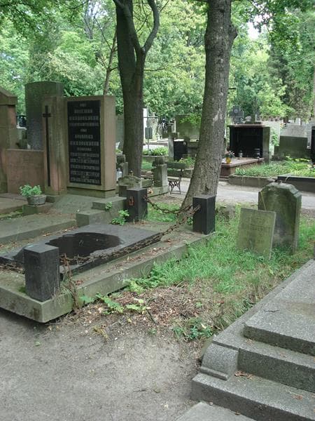 Zdjęcie grobu Wiktor Błażejewicz (1)