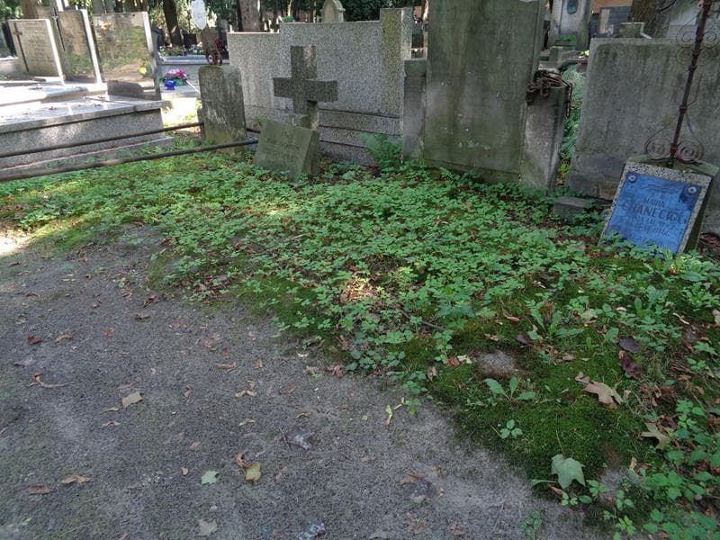 Zdjęcie grobu: Pole Grobowe