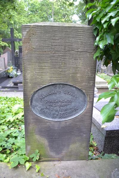 Zdjęcie grobu Karolina Strzempkowska (2)