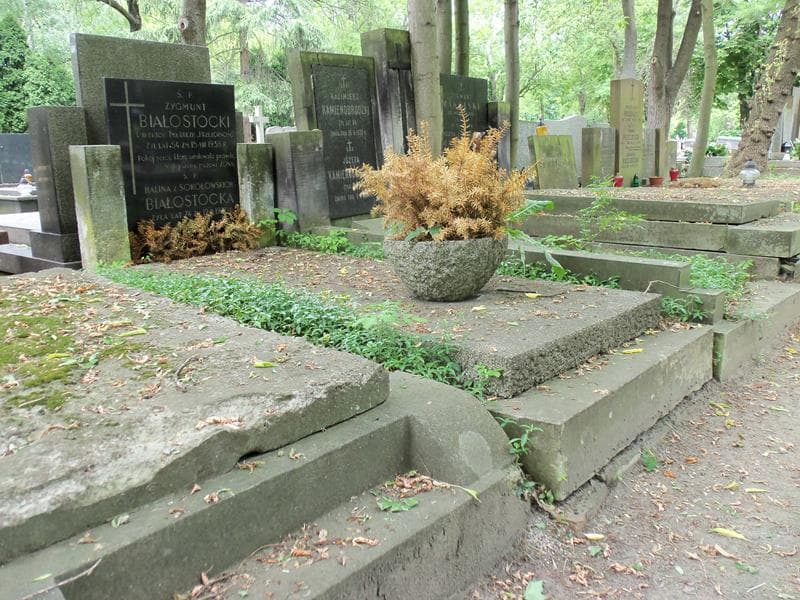 Zdjęcie grobu Halina Białostocka (1)