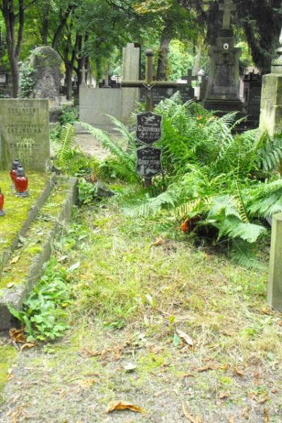 Zdjęcie grobu: Antoni Górzyński