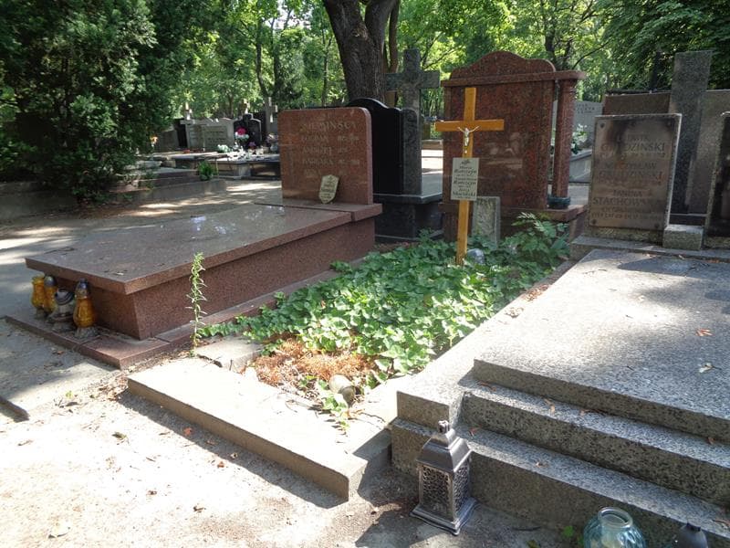 Zdjęcie grobu: Stanisława Natalia Rotszejn