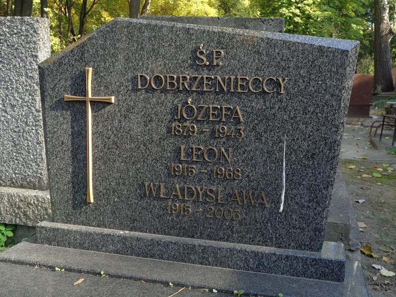 Zdjęcie grobu Władysława Dobrzeniecka (2)