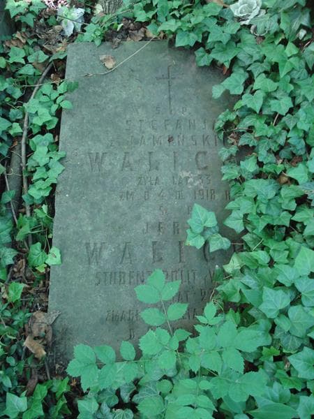 Zdjęcie grobu Jerzy Walicki (1)