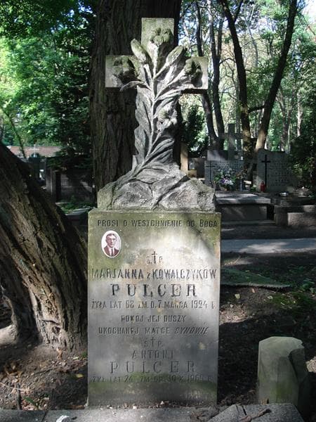 Zdjęcie grobu Antoni Pulcer (2)