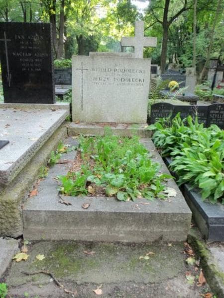 Zdjęcie grobu: Jerzy Podolecki