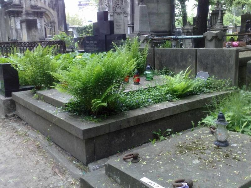 Zdjęcie grobu Wanda Leszczyńska (1)