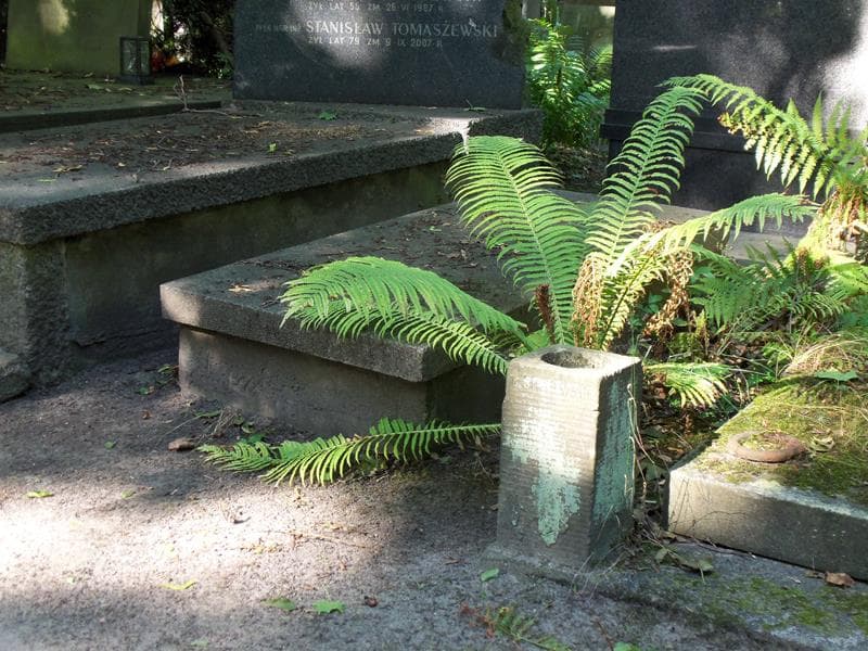 Zdjęcie grobu Marian Zbrowski (1)