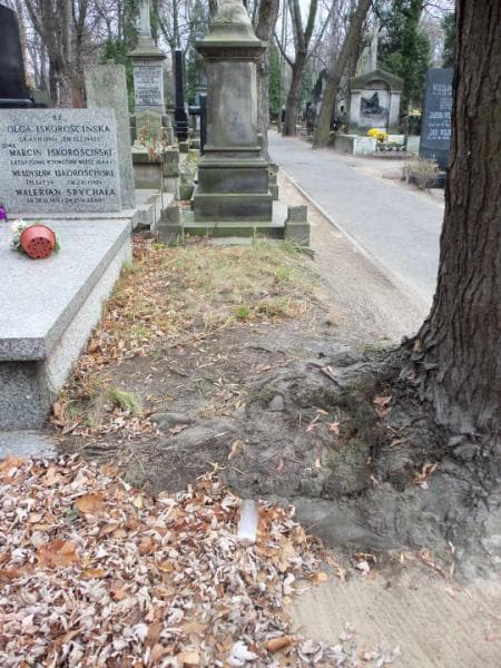 Zdjęcie grobu: Pole Grobowe