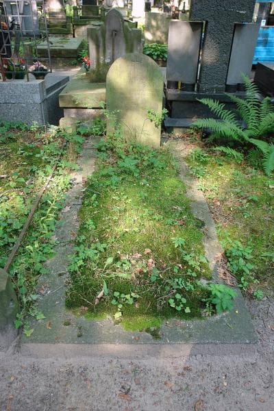 Zdjęcie grobu Flora Bystrzanowska (1)