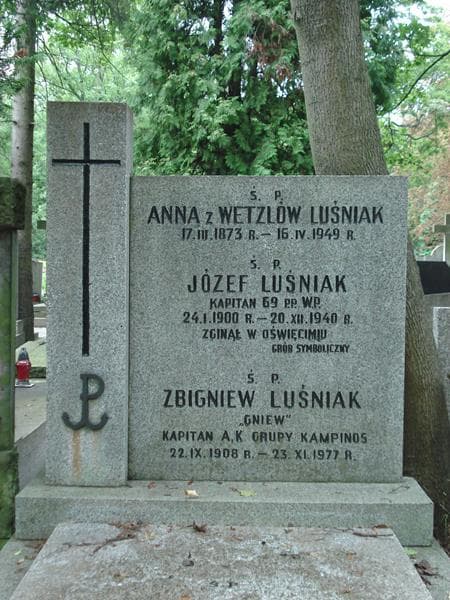 Zdjęcie grobu Anna Luśniak (2)
