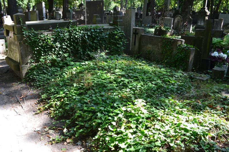 Zdjęcie grobu: Henryk Kłoss