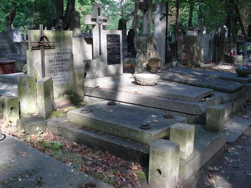 Zdjęcie grobu: Przemysław Krzemiński