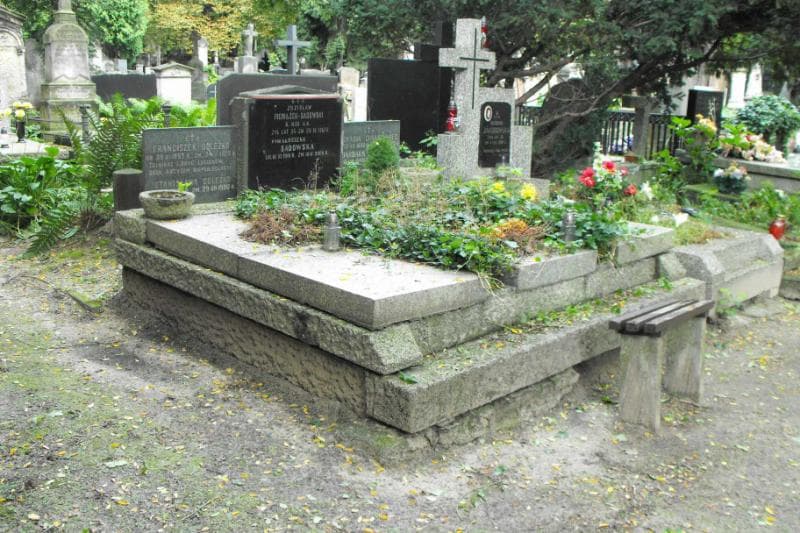 Zdjęcie grobu Franciszek Doleżko (1)