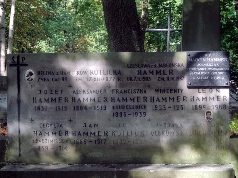Zdjęcie grobu Leon Hammer (2)