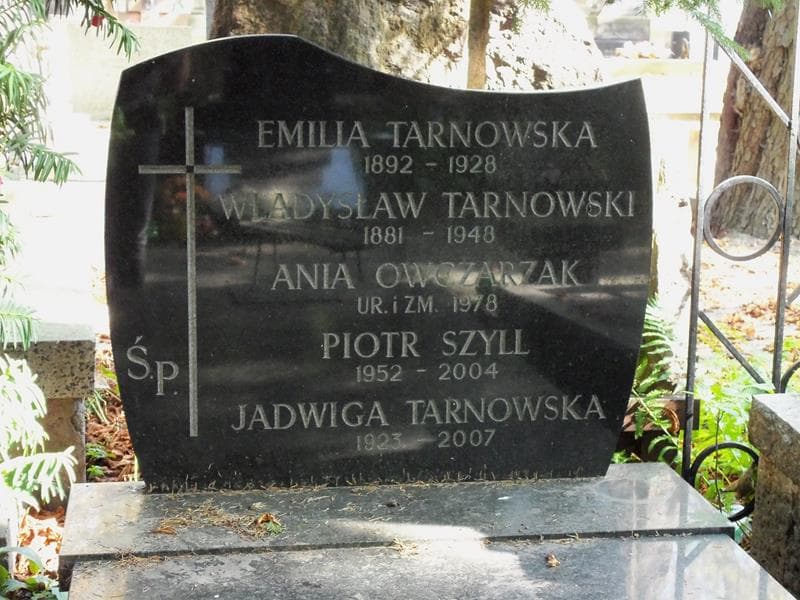 Zdjęcie grobu Władysław Tarnowski (2)