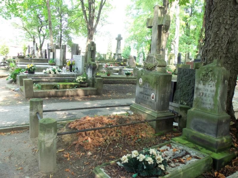 Zdjęcie grobu Eleonora Hoffman (1)
