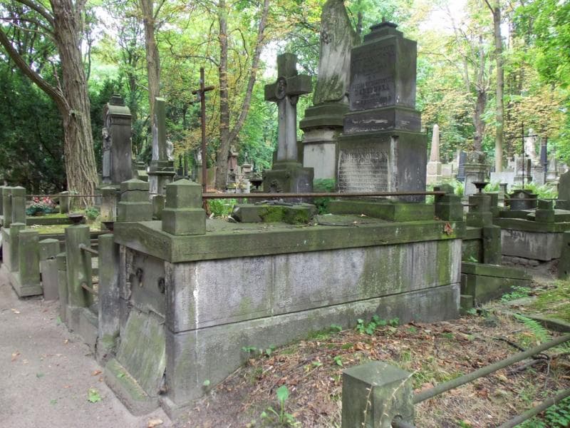 Zdjęcie grobu Aniela Dąbkowska (1)