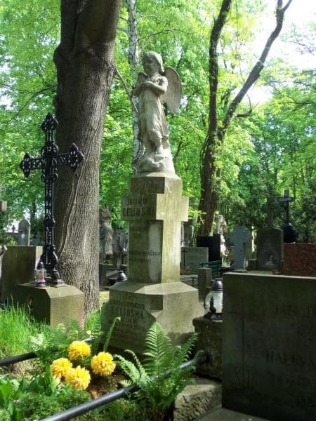 Zdjęcie grobu Jureczek Celiński (1)