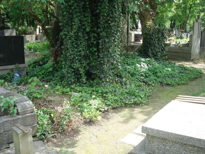 Zdjęcie grobu: Pole Grobowe