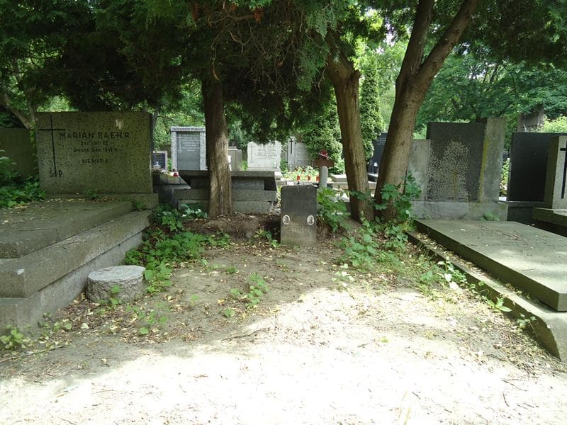 Zdjęcie grobu: Zofia Hołderna
