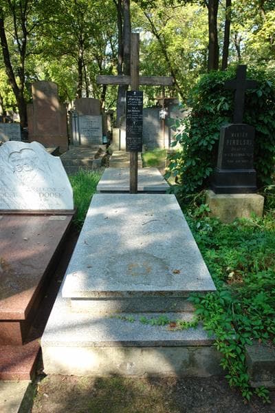 Zdjęcie grobu Ida Dowgird (1)