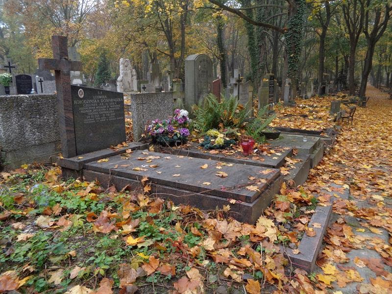 Zdjęcie grobu: Ludwika Kołodzińska-Domaradzka