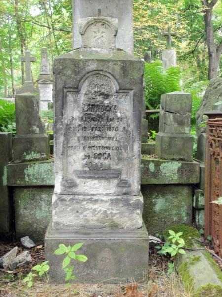 Zdjęcie grobu Aniela Czarnocka (1)