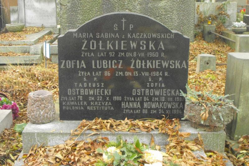 Zdjęcie grobu Zofia Lubicz Żółkiewska (2)