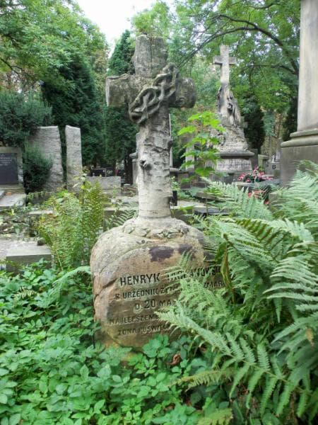 Zdjęcie grobu Henryk Taczanowski (1)