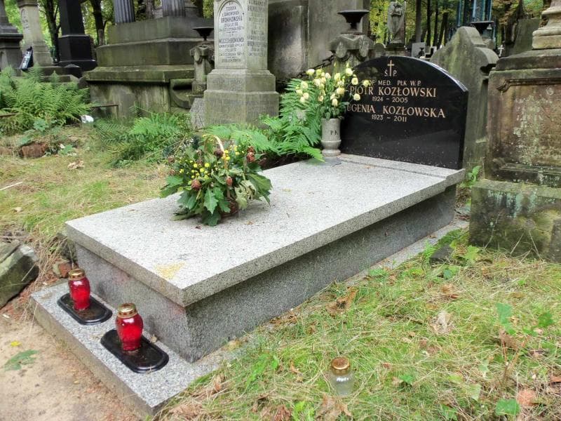 Zdjęcie grobu Eugenia Kozłowska (1)