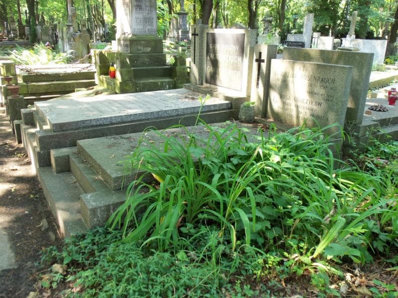 Zdjęcie grobu Rosa Draczykow (1)