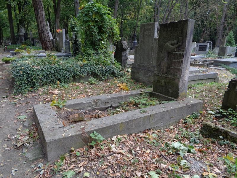 Zdjęcie grobu: Feliks Przyżycki