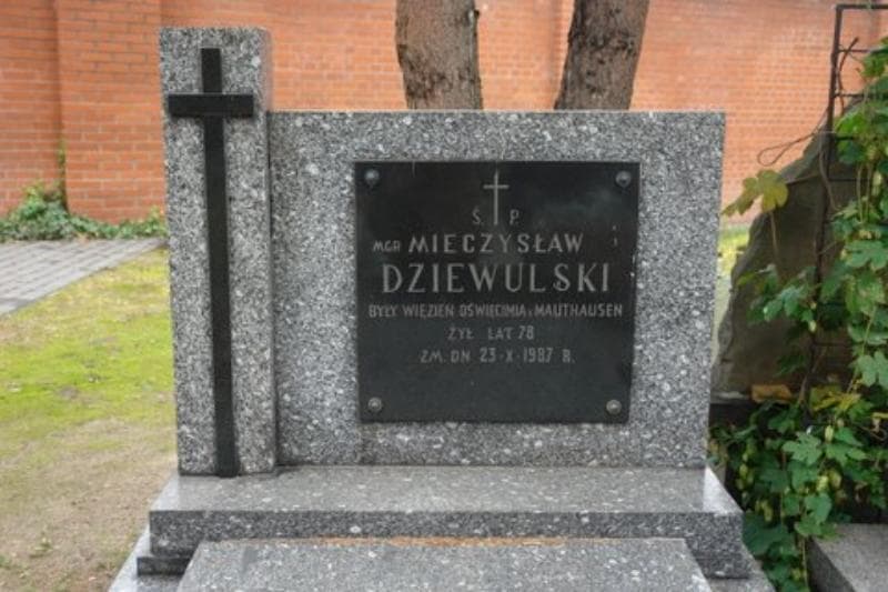 Zdjęcie grobu Mieczysław Dziewulski (2)