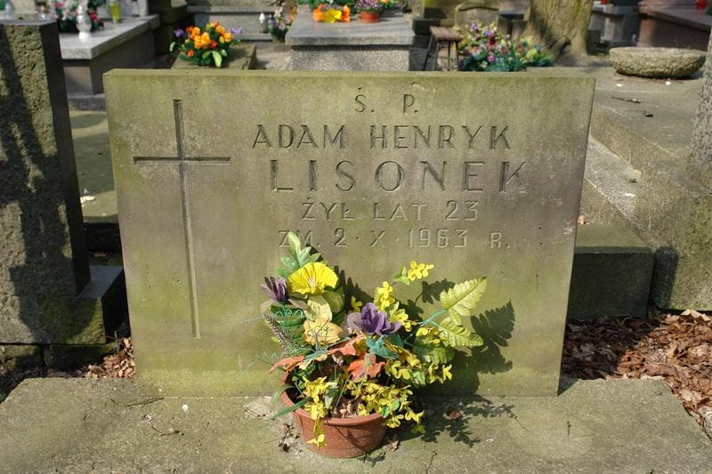 Zdjęcie grobu Adam Henryk Lisonek (1)