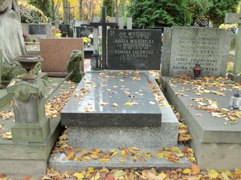 Zdjęcie grobu: Feliks Dąbrowski