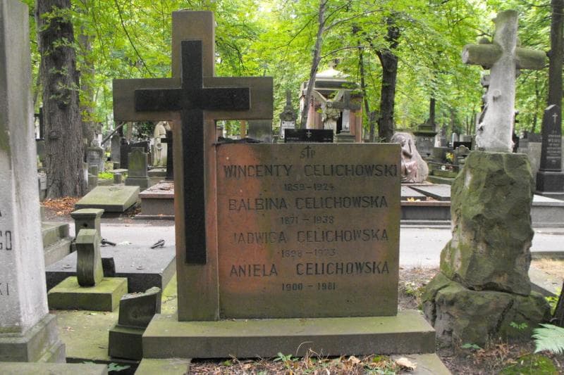 Zdjęcie grobu Aniela Celichowska (2)