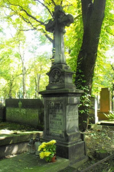 Zdjęcie grobu Tekla Kugler (1)