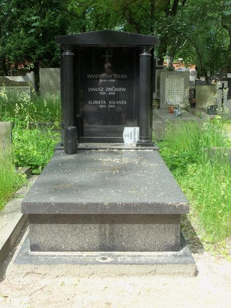 Zdjęcie grobu: Władysław Feliks Orzeł-Orlewicz