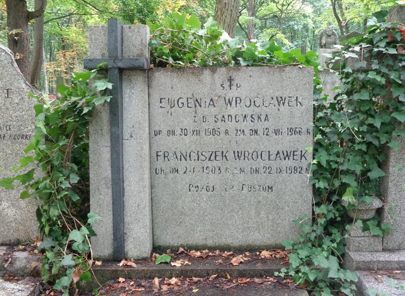 Zdjęcie grobu Franciszek Wrocławek (2)