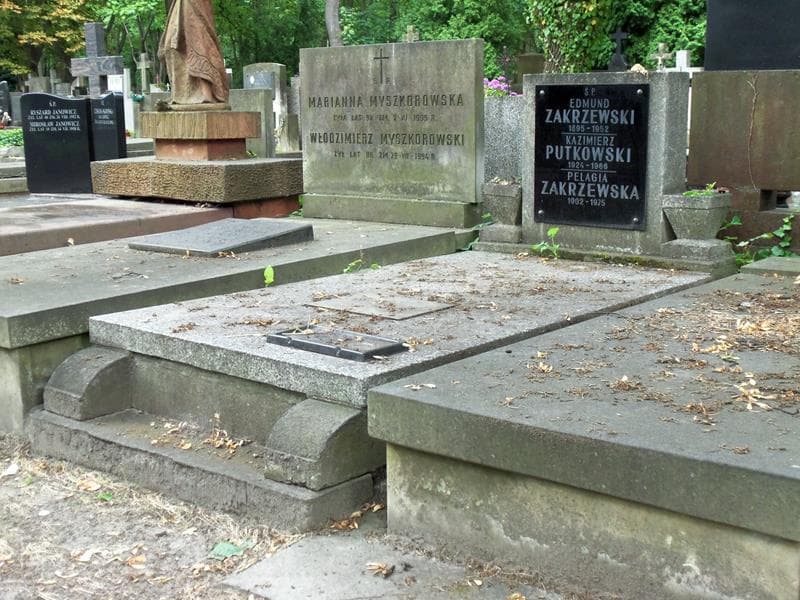 Zdjęcie grobu Kazimierz Putkowski (1)