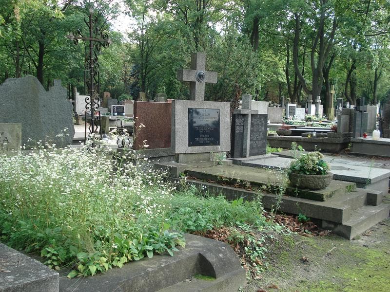 Zdjęcie grobu Zofia Drużna (1)