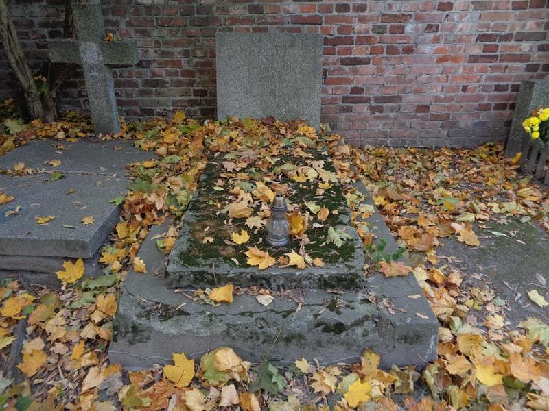 Zdjęcie grobu Tadeusz Niesiołowski (1)