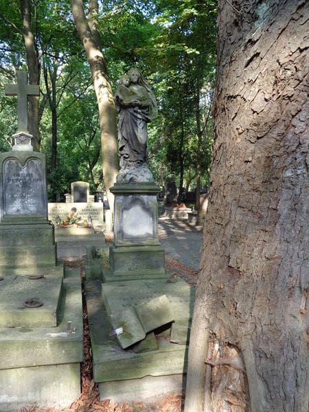 Zdjęcie grobu Bronisława Wrońska (1)