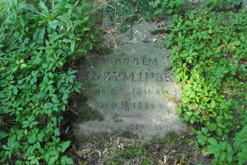 Zdjęcie grobu Nikodem Krzymiński (1)