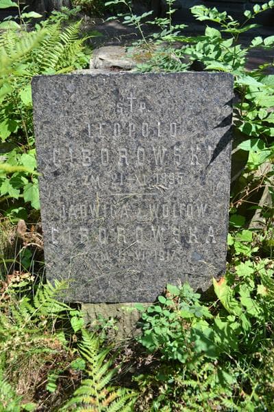 Zdjęcie grobu Leopold Ciborowski (1)