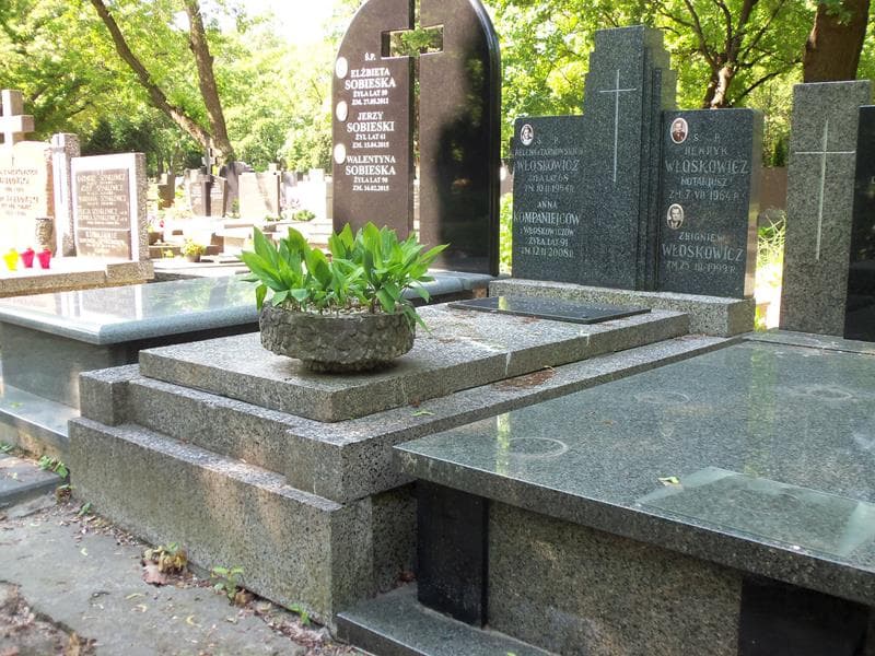Zdjęcie grobu Henryk Włoskowicz (1)