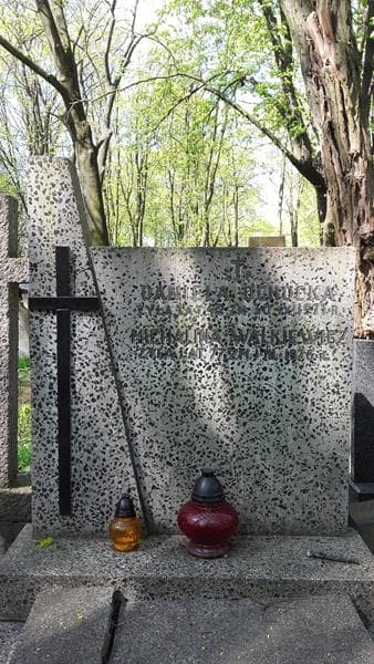 Zdjęcie grobu Michalina Walkiewicz (1)