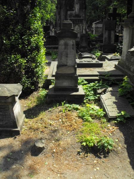 Zdjęcie grobu: Anne Marie Amelie Andrin