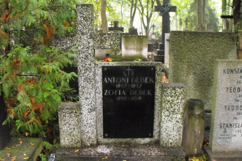 Zdjęcie grobu Zofia Dębek (2)